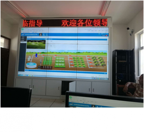 河南农科院实验基地樱桃TV在线观看
