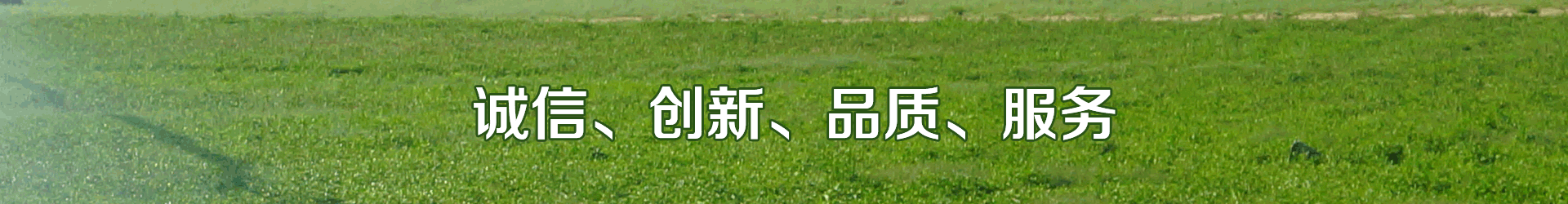 樱桃TV在线观看系统 樱桃TV在线观看系统