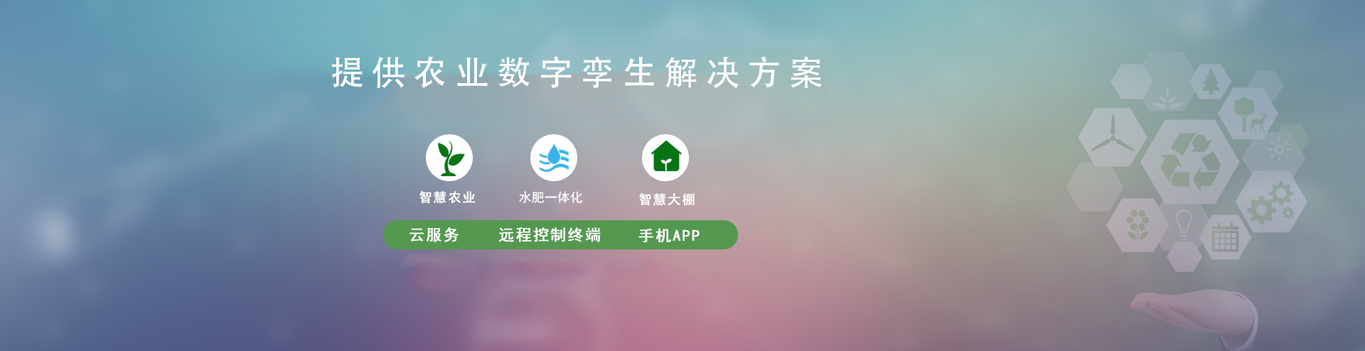节水樱桃TV在线观看