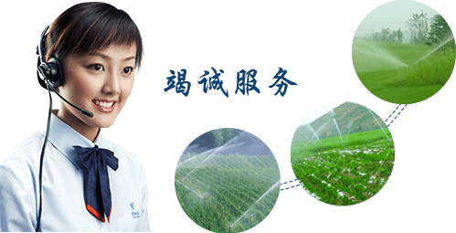  节水樱桃TV在线观看