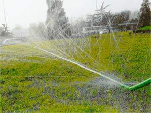 节水樱桃TV在线观看 节水樱桃TV在线观看
