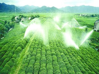 农业樱桃TV在线观看