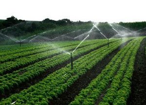 节水樱桃TV在线观看