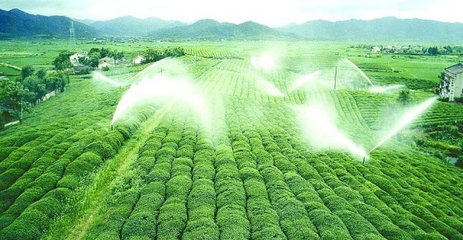 樱桃TV在线观看系统
