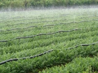 节水樱桃TV在线观看 节水樱桃TV在线观看