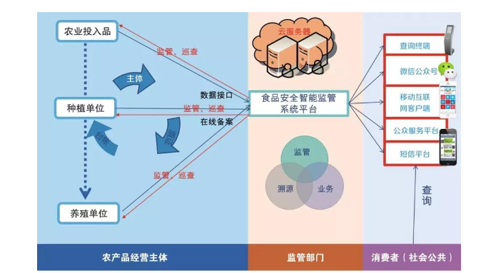农业樱桃TV在线观看